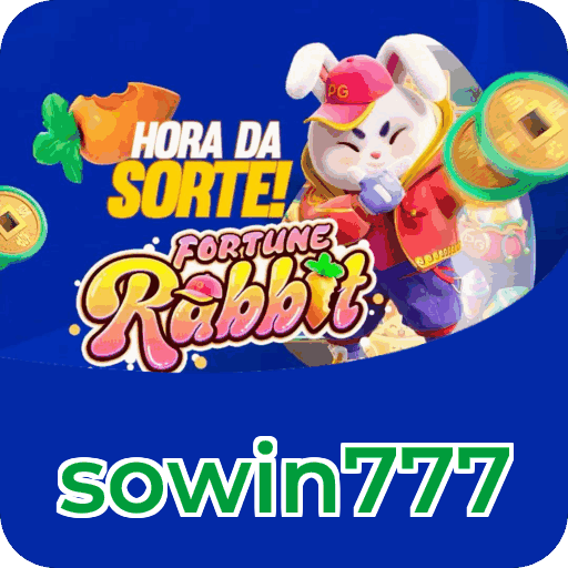 Métodos de pagamento aceitos na sowin777