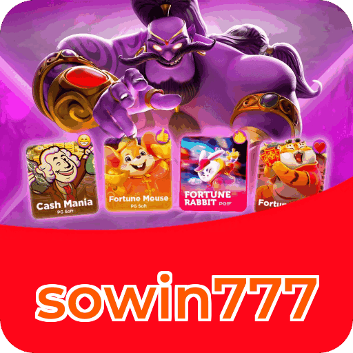 Interface sowin777